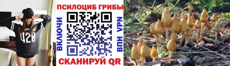 Псилоцибиновые грибы MAGIC MUSHROOMS  Купить закладки  Красный Сулин 